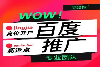 案例剖析：百度推广助力企业快速成长